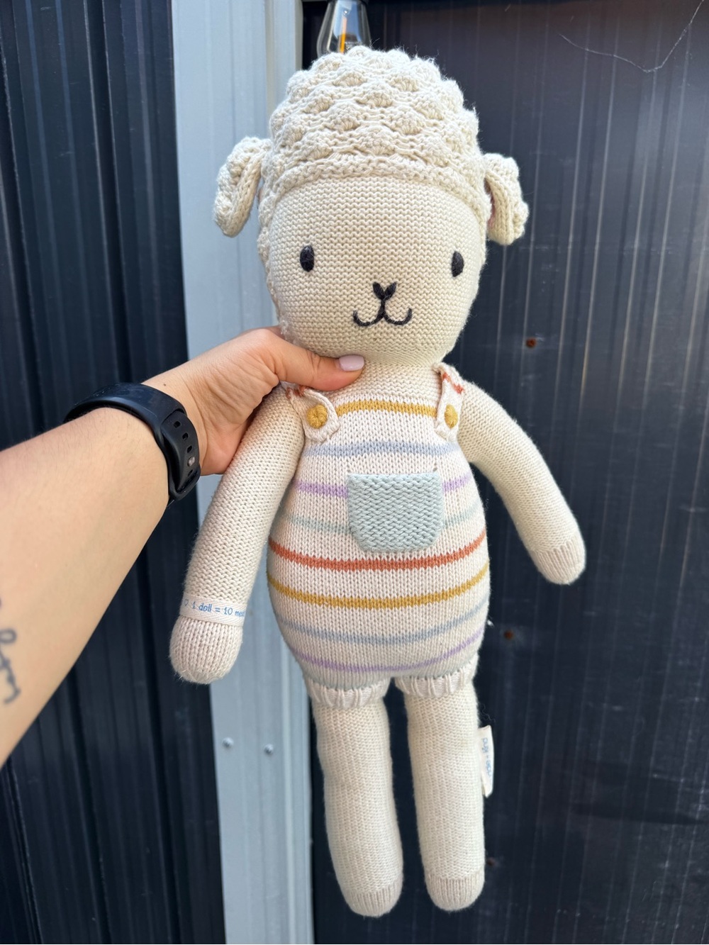 Cuddle and kind sheep